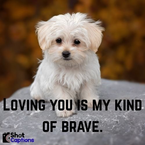  Love Captions And Quotes For Instagram