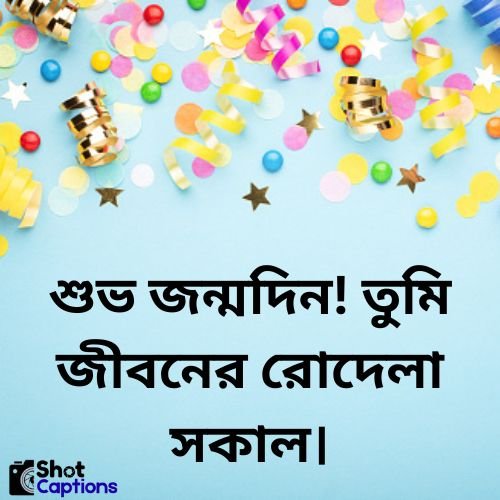 Birthday Caption Bangla For Instagram