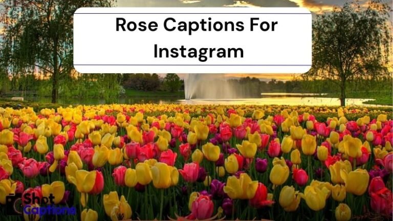 250+ Rose Captions For Instagram 2025