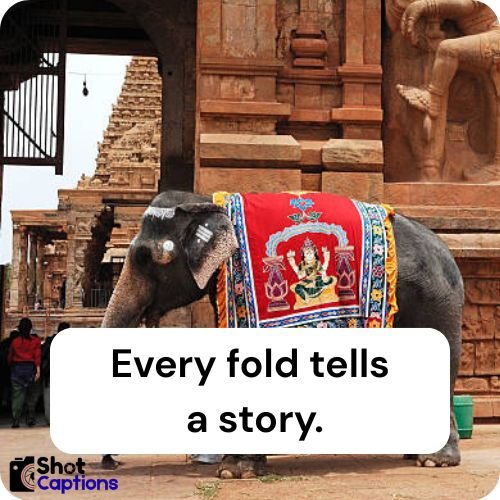 South Indian Captions For Instagram