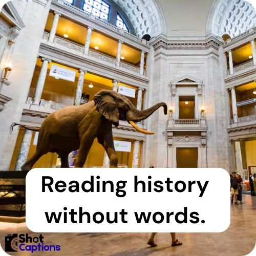 Best Captions For Museum